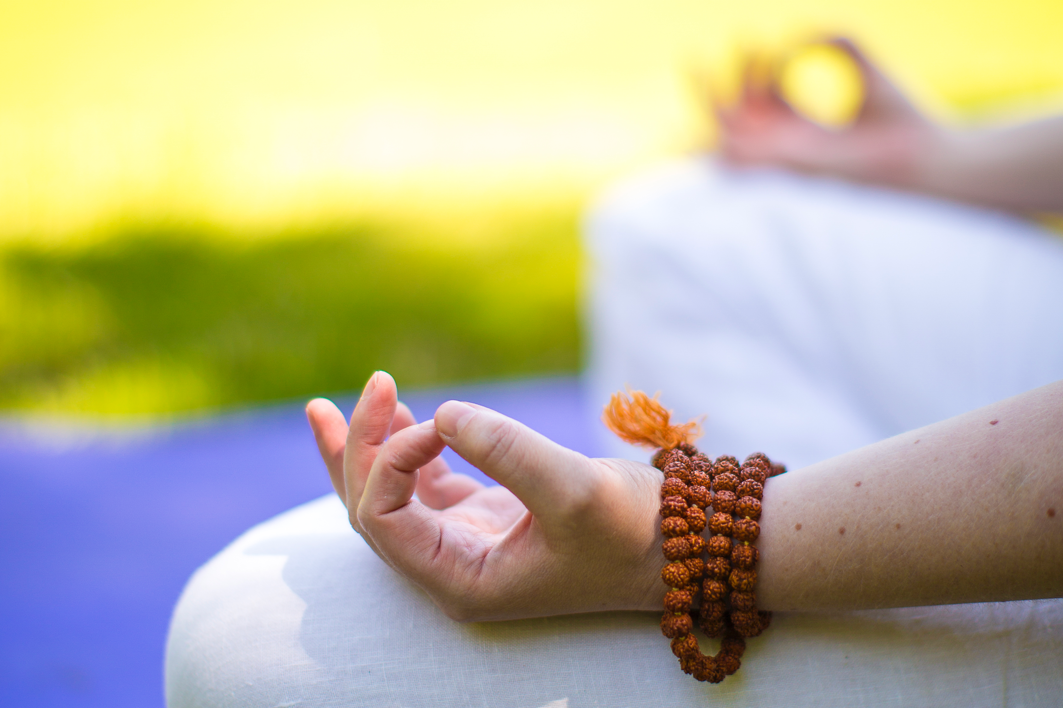 Shambhavi Yogaschule – photo 1